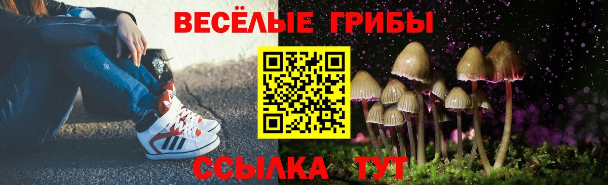 Галлюциногенные грибы Cubensis  магазин продажи   Соль-Илецк  Галлюциногенные грибы Cubensis  Вход с VPN 